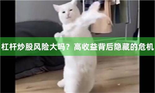 杠杆炒股风险大吗？高收益背后隐藏的危机