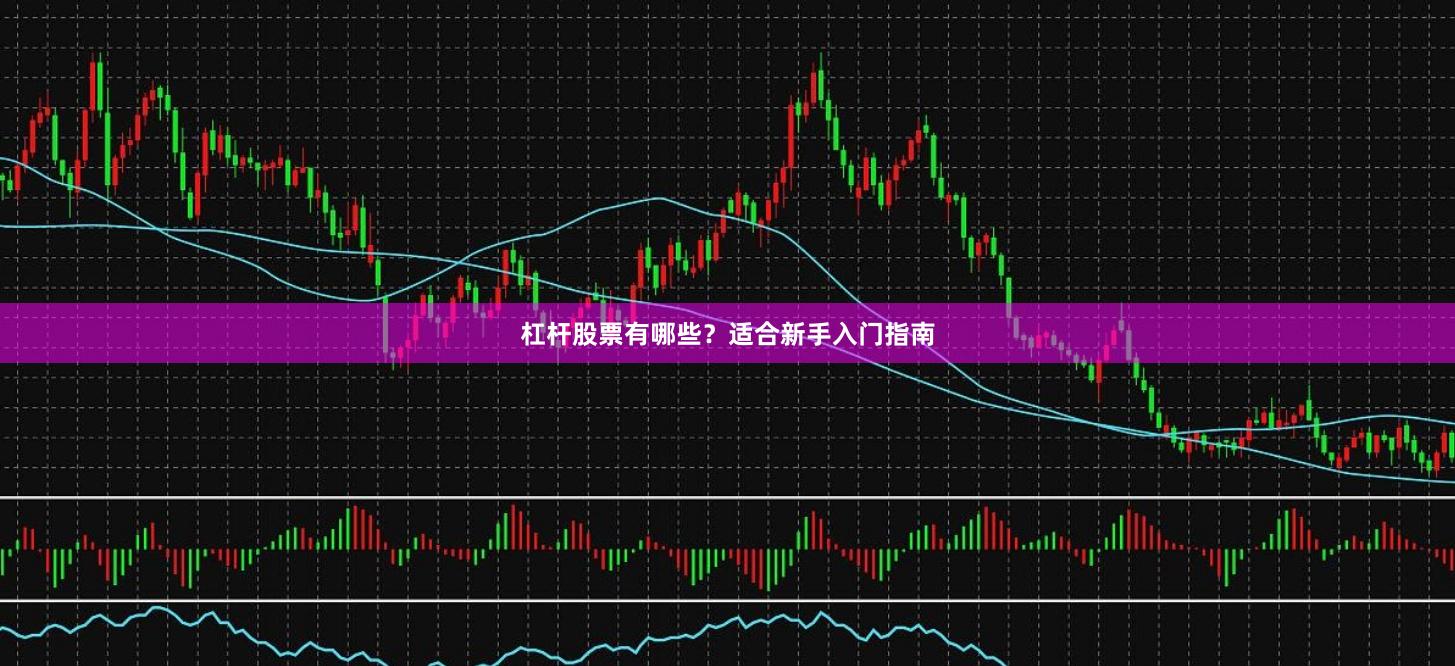 杠杆股票有哪些？适合新手入门指南