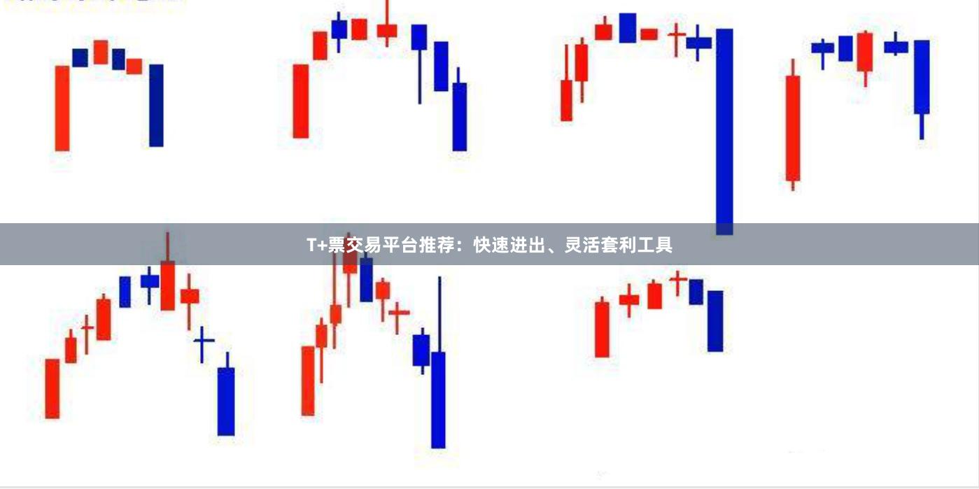 T+票交易平台推荐：快速进出、灵活套利工具