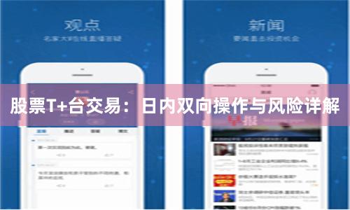 股票T+台交易：日内双向操作与风险详解